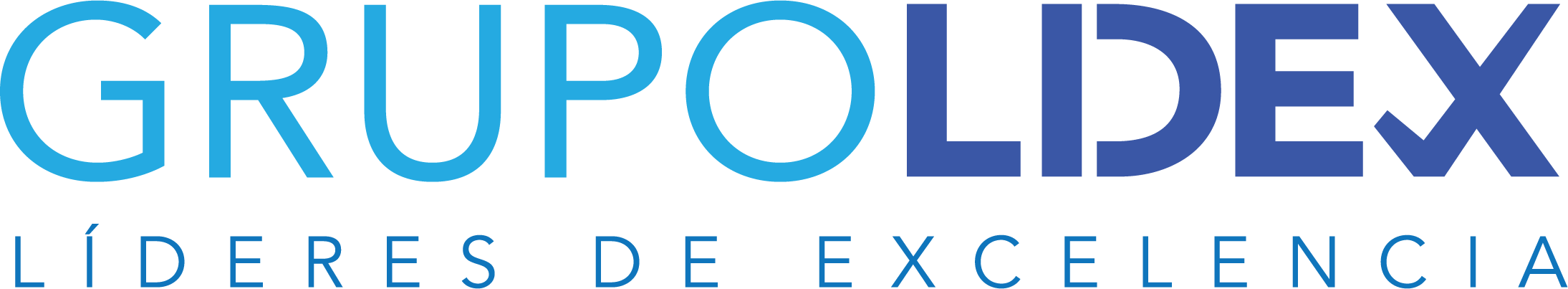 Grupo Lidex